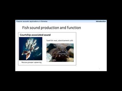 Applications of passive acoustics in fisheries