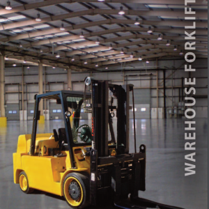 Lift king Lowry Series L180XDS-L450XDS