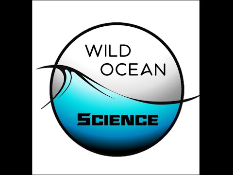 2021 Wild Ocean Science: Technology