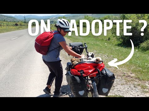 33 | SAUVETAGE DE CHIOTS ABANDONNÉS / Voyage à vélo en Géorgie