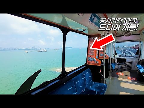  10년만에 개통!  '바다 위를 달리는 열차' 타고 여행 다녀왔습니다 | 멀리 못가는 분들을 위한 당일치기 여행 코스 | Train over the seas of Korea