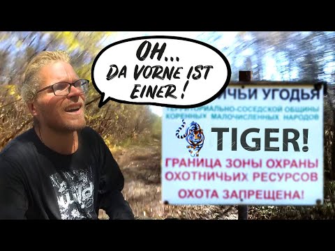 [#110] Auf den Spuren des sibirischen Tigers im fernen Osten Russlands