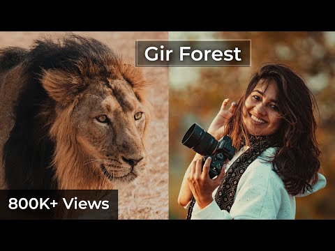 મારી નજરે ગુજરાત । ગીર જંગલ  | Gir Forest | Mari Najare Gujarat | Gujarat Tourism | Aditi Raval