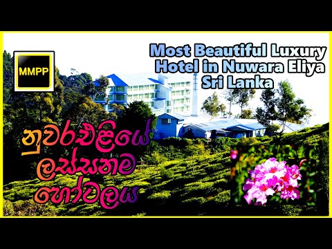 [MMPP]Nuwara Eliya Hotels Heritance Tea Factory Review beautiful best honeymoon tourist Sri Lanka