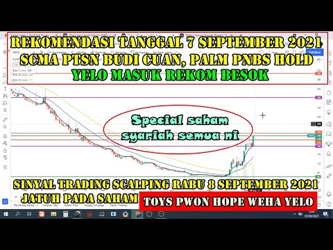  Sinyal Rabu 8 September 2021 Rekomendasi saham scalping trading TOYS PWON YELO HOPE WEHA ZYRX pnbs