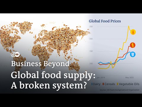 A world going hungry? How conflict and climate change disrupt global food supply | Business Beyond