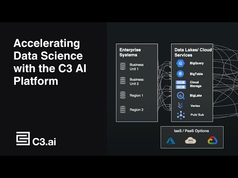 Accelerating Data Science with the C3 AI Platform