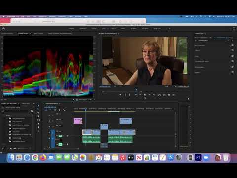Adobe Premiere Pro Color Correction Demo and Blur Effect