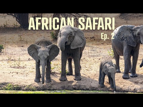 African Safari in Zambia, Ep. 2: Bilimungwe Wildlife