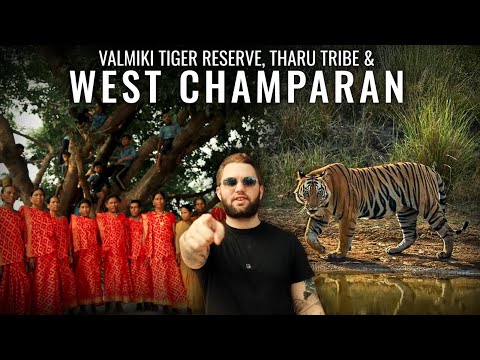 An American Explores Valmiki Tiger Reserve, Motihari & Tries Champaran Mutton! | Dil Se Bihari E4