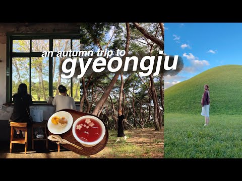 an autumn trip to gyeongju, korea (tombs, forests, cafes)  solo travel outside of seoul vlog