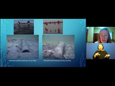 Archaeology Abridged: Preserving Underwater Maya Finds using 3D Technology with Heather McKillop
