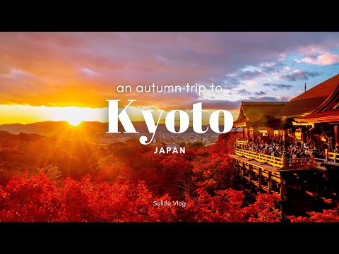 Autumn trip to #Kyoto Japan | autumn leaves & light up, cafe hopping | JAPAN VLOG