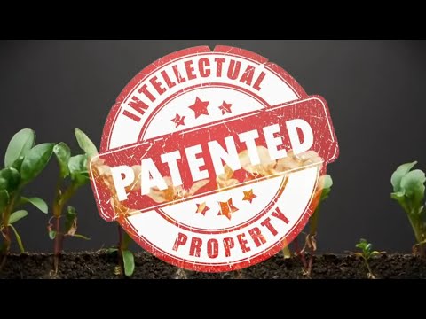 Bayer + Monsanto = A Match Made for Suffering the Humanity and Life - Bayer Crop Science