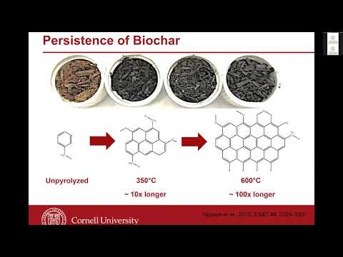 Biochar: An ICRLP Explainer Video