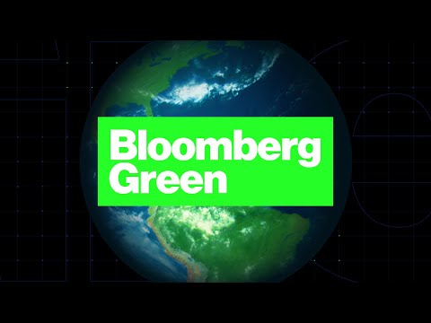 Bloomberg Green: Sustainable Vacations and the Rise of Ecotourism