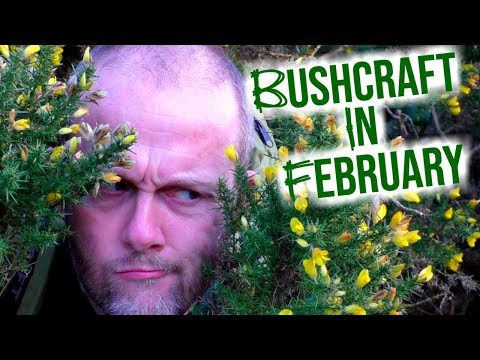 Bushcraft in February | Tree & Plant ID, Ohuhu stove, pine cone fuel