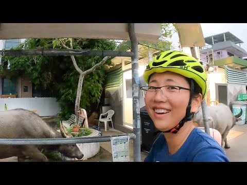 Can You Believe This is Hong Kong? | World Cycling Trip