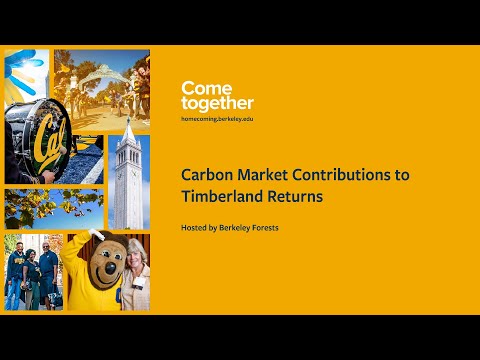Carbon Market Contributions to Timberland Returns