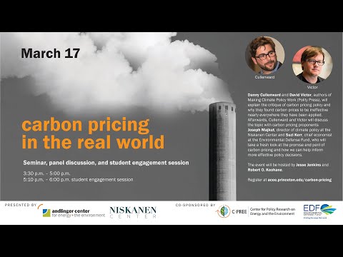 Carbon Pricing in the Real World