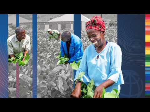 COP26: Scaling Investment in Climate-Smart Agriculture Technologies in Africa