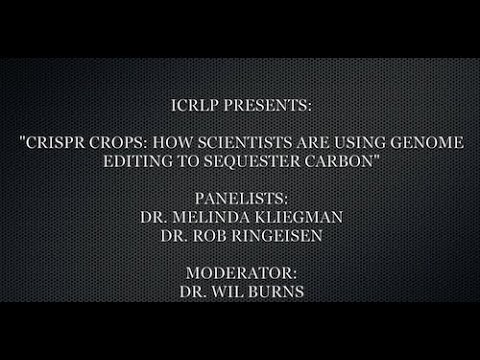 CRISPR Crops: How Scientists are Using Genome Editing to Sequester Carbon