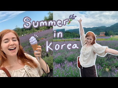 day trip from seoul to the Lavender Festival in Goseong, Korea Vlog my life in korea