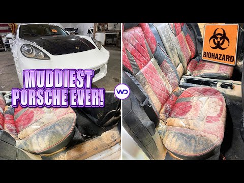Deep Cleaning The Muddiest BIOHAZARD Porsche EVER! | Satisfying Flood Car Detail Transformation!