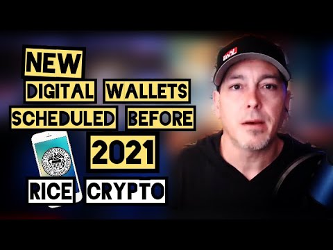 Digital Dollar & CBDC: The Central Banks Plan For Our Future - RTD Q&A ft. Rice Crypto