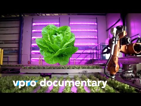 Digital Food: The Food Industry Of Tomorrow - Docu