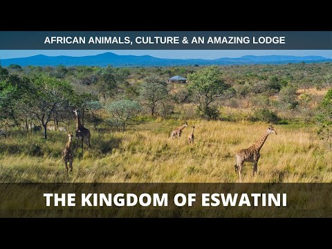 Discovering Eswatini: Our first African Experience (4K)