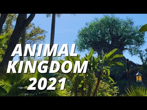 Disney World Animal Kingdom in 2021 | Family Fun Day at the Park!