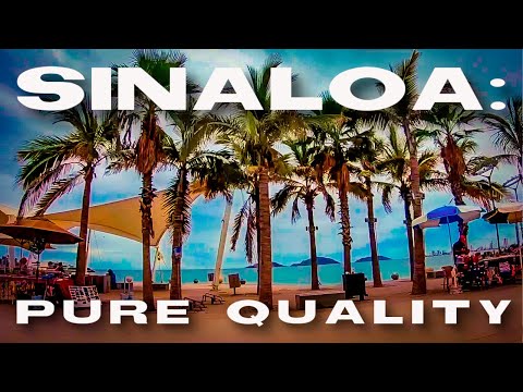 DMV: Sinaloa: Pure Quality