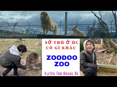 Du lịch TASMANIA Hobart - Zoodoo Zoo - DU LỊCH VÀ CUỘC SỐNG ÚC