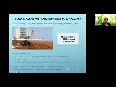 EESN: The Oceans and Carbon Drawdown