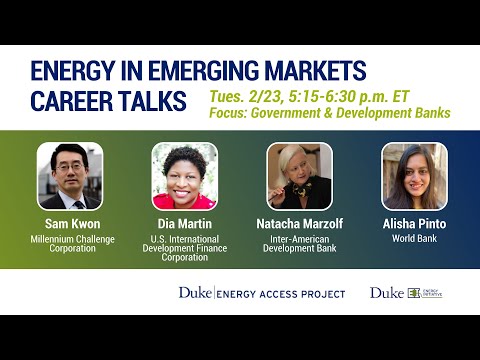 Energy in Emerging Markets Career Talks: Government and Development Banks