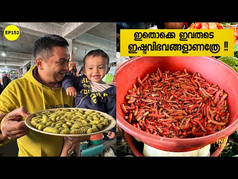 EP 152 Tribal Markets of Nagaland | പട്ടി, എലി, തവള, പുഴു | ഇവിടെ മനുഷ്യർ കഴിക്കുന്നത് ഇതൊക്കെയാണോ?