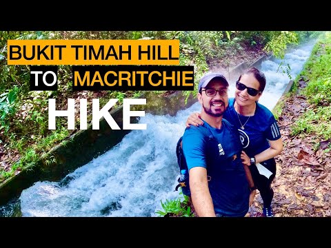 EP 5 Bukit Timah to MacRitchie || 4 hours, 16 KM Hike ||
