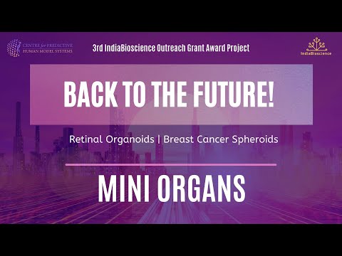 Episode 2 | Mini Organs | Back to the Future | Virtual Lab