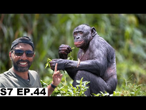 Finally Found Chimpanzees deep in the Jungle of Tanzania S7 EP.44 | Pakistan to South Africa
