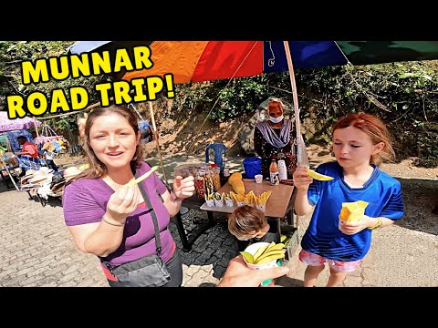 First Impressions of Munnar, India  | 4 Hour Road Trip from Kochi | Huge Indian Food Thali!