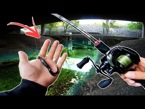 Fishing an URBAN CREEK - does it hold fish? 