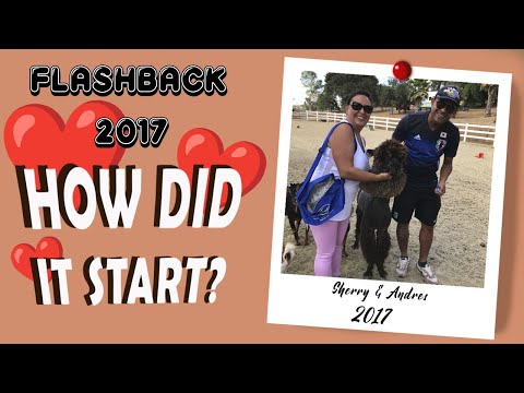 FLASHBACK 2017: HOW DID IT START?