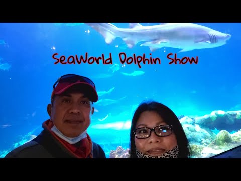 FLORIDA VACATION. SeaWorld Dolphins Show #2