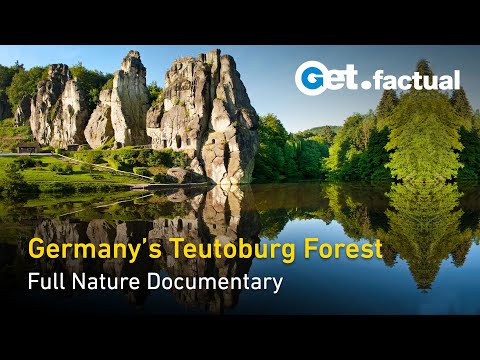 From Battleground to Oasis: Germany's Teutoburg Forest | Forest of Heroes | Full Nature Documentary