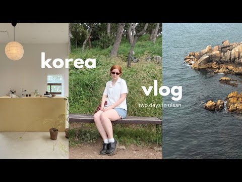 getting out of Seoul  two days in ulsan, korea vlog | cafe hopping, forests, islands, bookstores