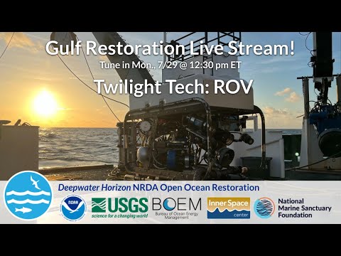 Gulf Restoration Livestream - Twilight tech: ROV