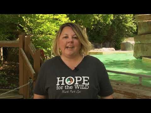 Hope For The Wild - Seals & Sea Lions