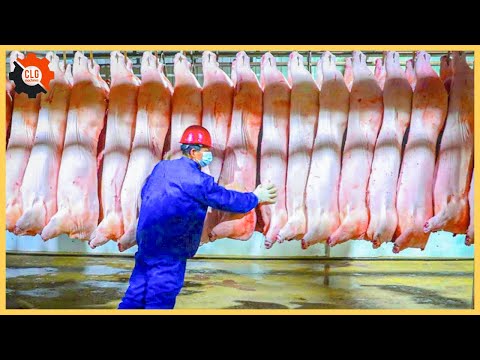 How Does Modern Pork Production Technology Work in Germany? | Food Industry Machines