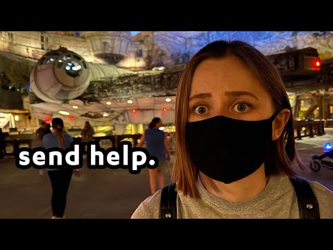 i journeyed to batuu irl